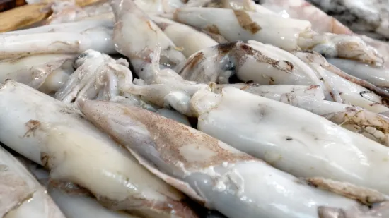 Povlače se lignje zbog kadmija: 'Vratite ih u trgovinu!'