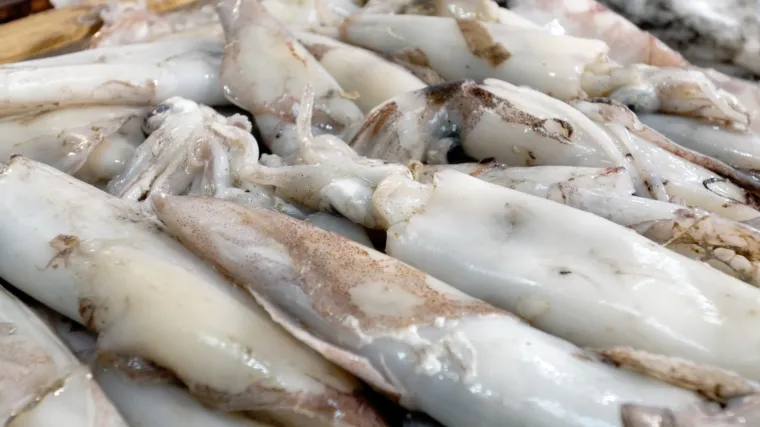 Povlače se lignje zbog kadmija: 'Vratite ih u trgovinu!'