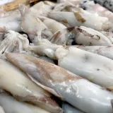 Povlače se lignje zbog kadmija: 'Vratite ih u trgovinu!'