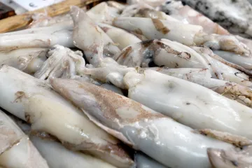 Povlače se lignje zbog kadmija: 'Vratite ih u trgovinu!'