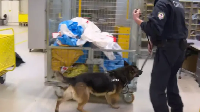 &Scaron;to ne pronađe čovjek, nanju&scaron;it će pas: Pogledajte Arnes u potrazi za opasnom pirotehnikom