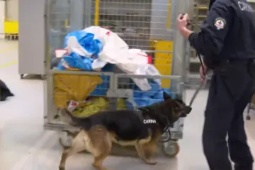 &Scaron;to ne pronađe čovjek, nanju&scaron;it će pas: Pogledajte Arnes u potrazi za opasnom pirotehnikom