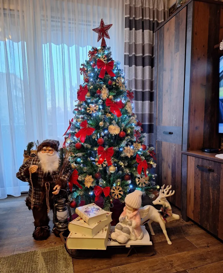 Žiri je skuhao čaj, smirio živce i isklesao nove ocjene: Detalj s jedne jelke podijelio mi&scaron;ljenja