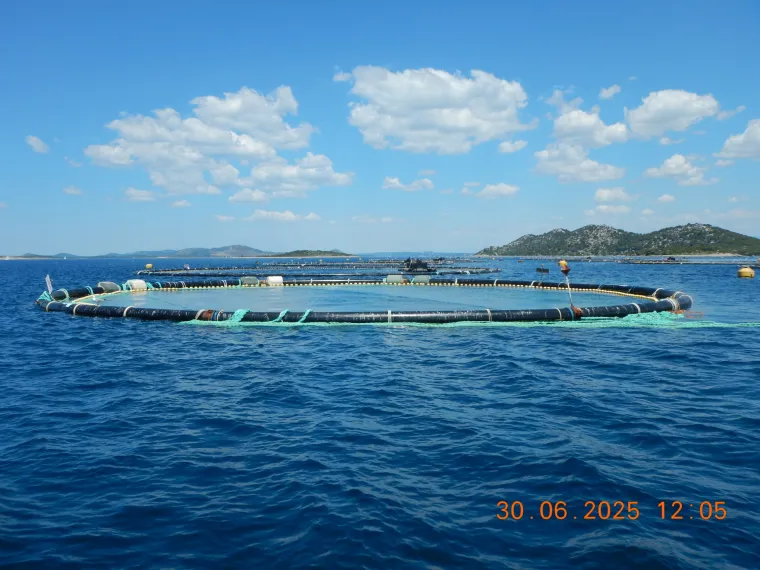 Hrvatska akvakultura: održiva proizvodnja hrane za danas i sutra