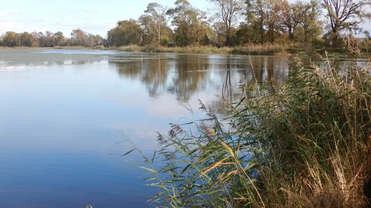 Hrvatska akvakultura: održiva proizvodnja hrane za danas i sutra