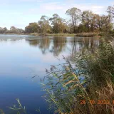 Hrvatska akvakultura: održiva proizvodnja hrane za danas i sutra