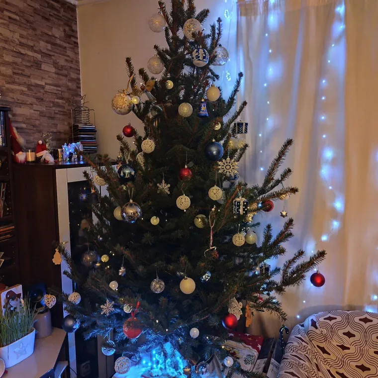 Žiri je zatrpan va&scaron;im fotografijama: Badnjak je, a jelke zauzimaju status zvijezda u domovima