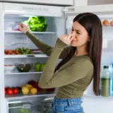 Rije&scaron;ite se neugodnih mirisa iz hladnjaka: Čistačica otkrila trik s jednim sastojkom