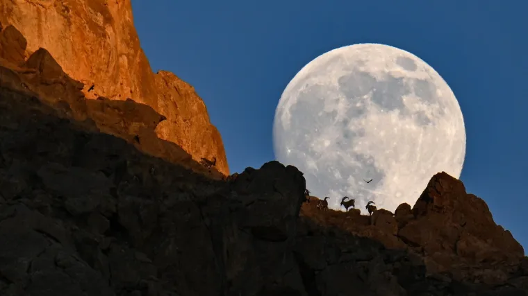 Rusi se &scaron;ire izvan svojih granica: Grade nuklearnu elektranu! I to na Mjesecu