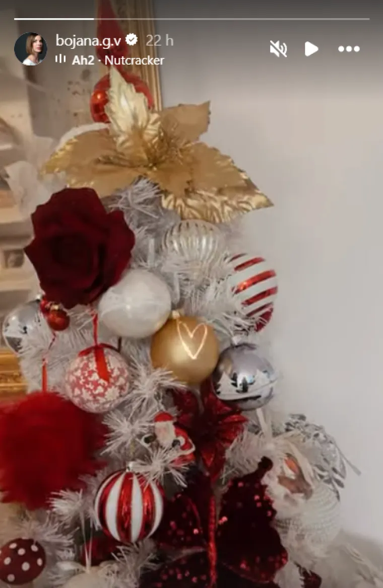 Zavirite u njezin blagdanski dom: Bojana Gregorić Vejzović pokazala rasko&scaron;no okićen bor