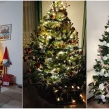 Utrka za najljep&scaron;u božićnu jelku uzela je maha: Zbog ovih 50 žiri je na pravim mukama