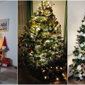 Utrka za najljep&scaron;u božićnu jelku uzela je maha: Zbog ovih 50 žiri je na pravim mukama