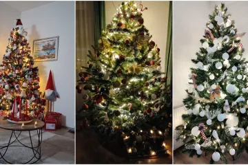 Utrka za najljep&scaron;u božićnu jelku uzela je maha: Zbog ovih 50 žiri je na pravim mukama