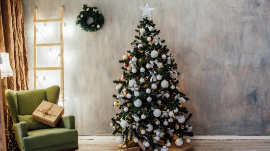 Pokloni su otvoreni, a jedino se jo&scaron; ozbiljno shvaća ona - kraljica jelka: 'Nježna i skladna'