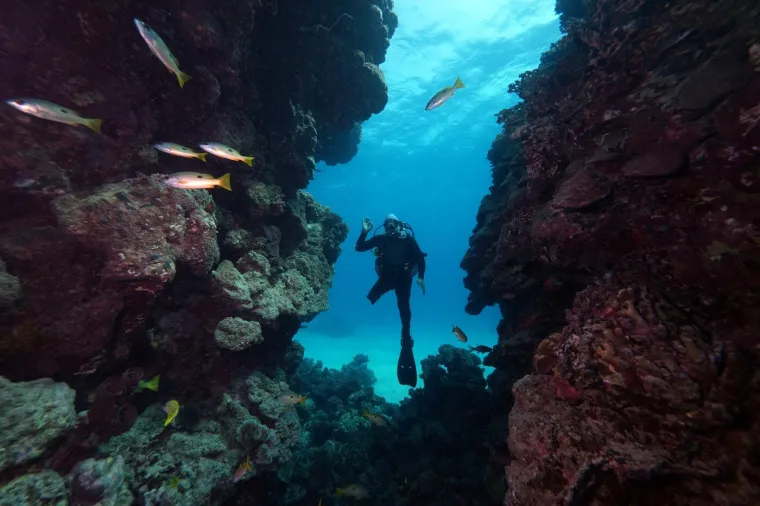 Izgubio nogu u prometnoj nesreći, no to ga ne sprječava u ronjenju: 'Neopisiva sreća'