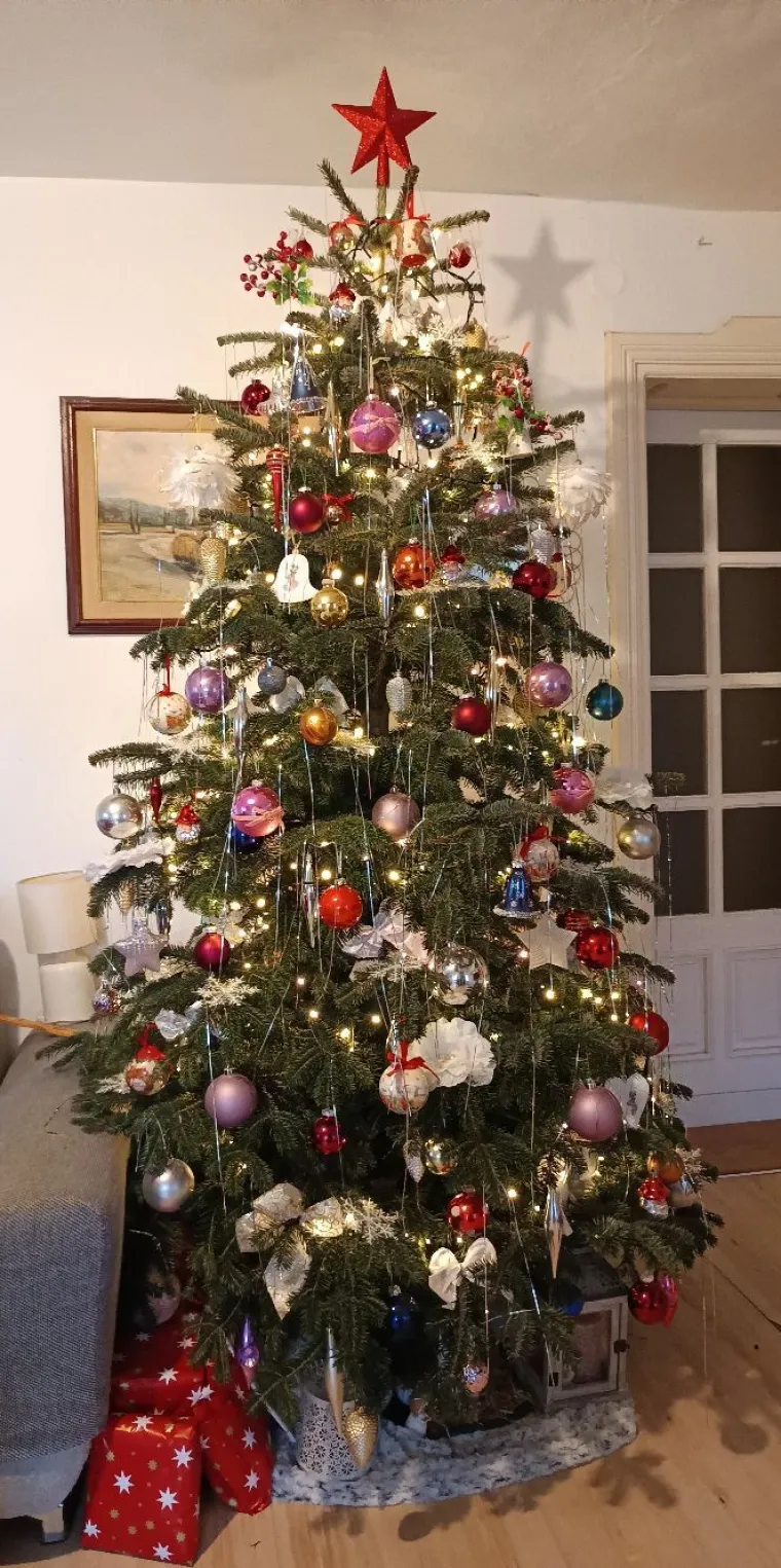 Utrka se zahuktala, iza žirija se sve pra&scaron;i: Redakciju uveseljavaju va&scaron;e prekrasne jelke