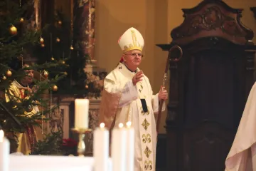 Krvna zrnca, lijevi, desni i podjele: Oltari &scaron;irom Hrvatske poslali jasnu poruku