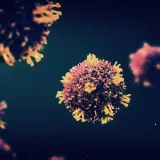 Svijet u pripravnosti prvi put nakon Covida: Raste broj slučajeva virusa, četvero mrtvih