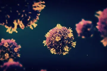 Svijet u pripravnosti prvi put nakon Covida: Raste broj slučajeva virusa, četvero mrtvih