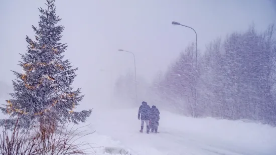 Zimska oluja ostavila tisuće domova bez struje: Na mu&scaron;karca pala grana i ubila ga