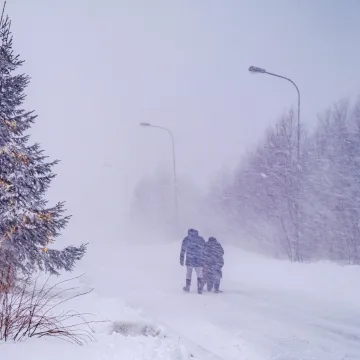 Zimska oluja ostavila tisuće domova bez struje: Na mu&scaron;karca pala grana i ubila ga