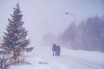 Zimska oluja ostavila tisuće domova bez struje: Na mu&scaron;karca pala grana i ubila ga