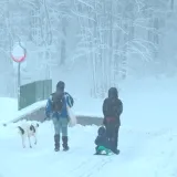 Hrvatska na udaru minusa! Stiže nam ledeni siječanj: Hoće li polarna struja stići i do Hrvatske?