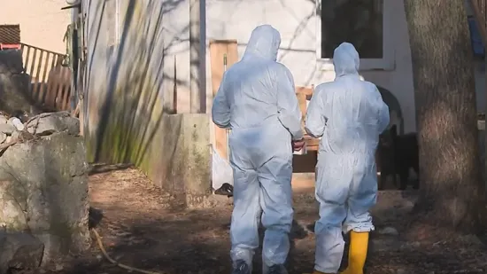 Strah među stočarima: Samo danas eutanazirano vi&scaron;e od 60 životinja, a za sve je krivi ilegalni ovan?