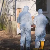 Strah među stočarima: Samo danas eutanazirano vi&scaron;e od 60 životinja, a za sve je krivi ilegalni ovan?