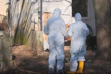 Strah među stočarima: Samo danas eutanazirano vi&scaron;e od 60 životinja, a za sve je krivi ilegalni ovan?