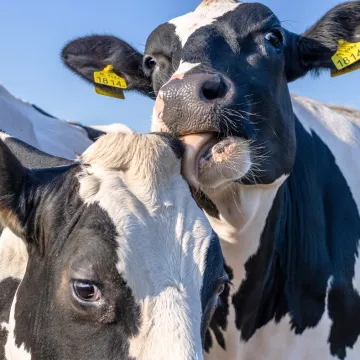 Hoće li potez države odvesti seljake u potpuni očaj? Stručnjak otkriva sistemsku gre&scaron;ku