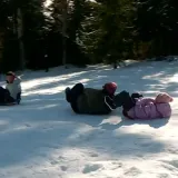 Drvene, plastične, ali samo jedne su najbrže: 'Pičimo na pičiguzu gore-dolje!'