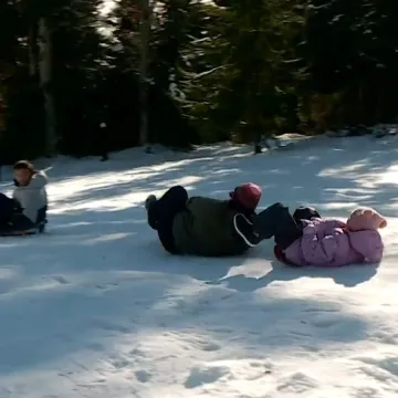 Drvene, plastične, ali samo jedne su najbrže: 'Pičimo na pičiguzu gore-dolje!'