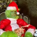 Znate li tko je ovo u urnebesnom izdanju Grincha? 'Tiha noć? Ne dok sam ja tu!'