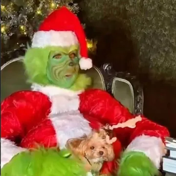 C&eacute;line Dion u urnebesnom izdanju Grincha odu&scaron;evila fanove: 'Tiha noć? Ne dok sam ja tu!'