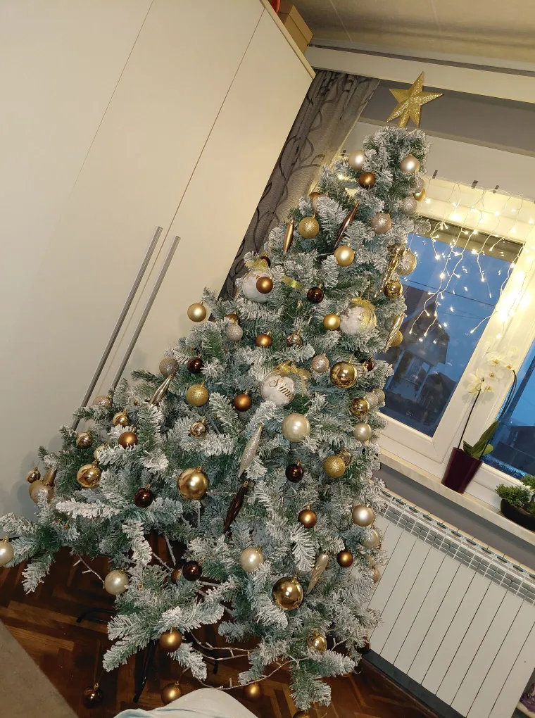 Jo&scaron; uvijek smo u potrazi za jelkom pobjednicom: 'Ovo je drvce kraj kojeg se fotografira'