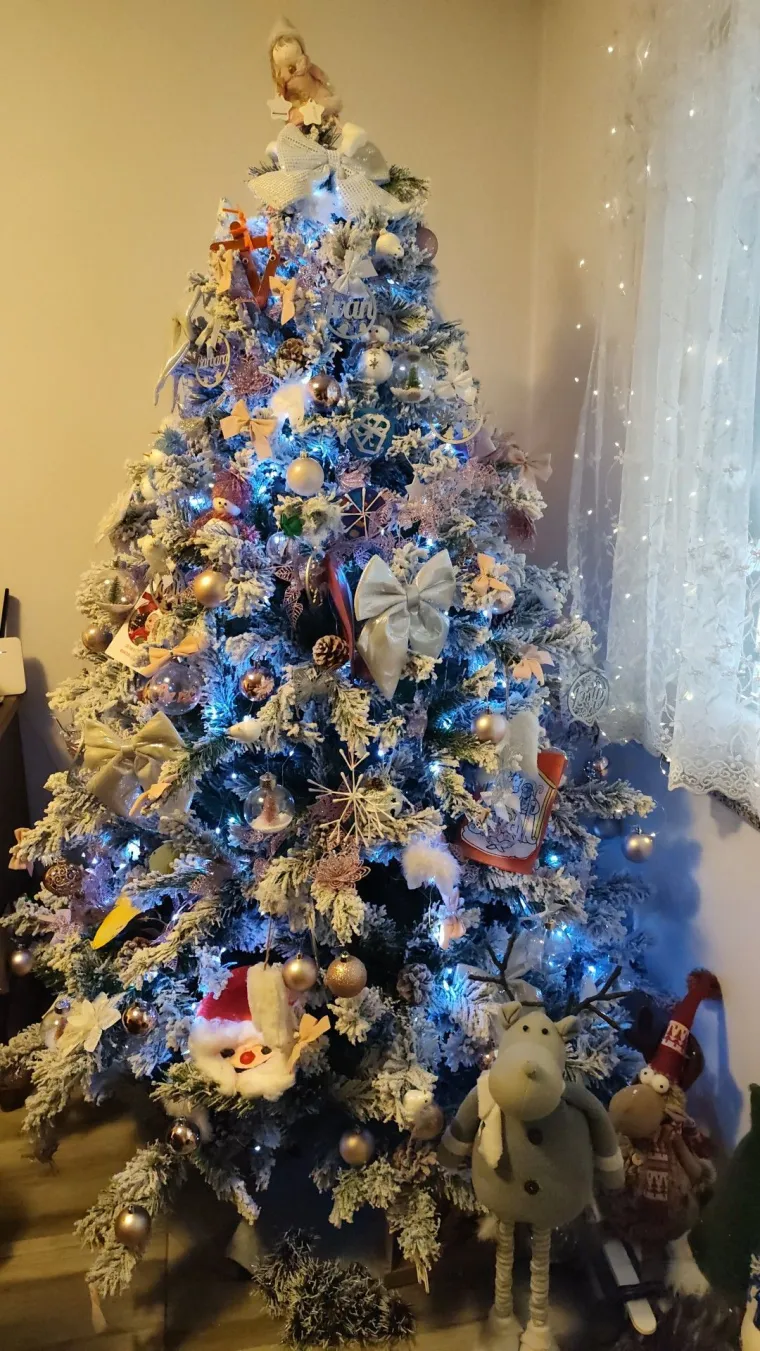 Jo&scaron; uvijek smo u potrazi za jelkom pobjednicom: 'Ovo je drvce kraj kojeg se fotografira'