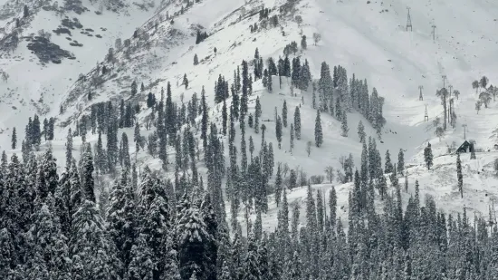 Dječak (5) poginuo nakon horora na skijali&scaron;tu: 'Čini se da sigurnosni sustav nije reagirao'
