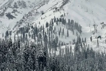 Dječak (5) poginuo nakon horora na skijali&scaron;tu: 'Čini se da sigurnosni sustav nije reagirao'