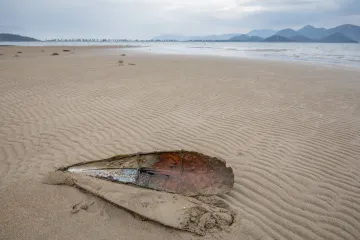 Ostajemo bez endema: Ima ih jo&scaron; samo sedam! Nestaju bez traga, bacaju na njih beton!
