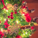 Blagdanska atmosfera jo&scaron; lebdi u zraku: 'Ovo je drvce koje je odlučilo ići 'na sve''