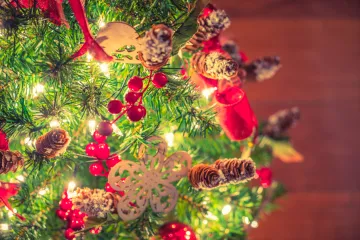 Blagdanska atmosfera jo&scaron; lebdi u zraku: 'Ovo je drvce koje je odlučilo ići 'na sve''