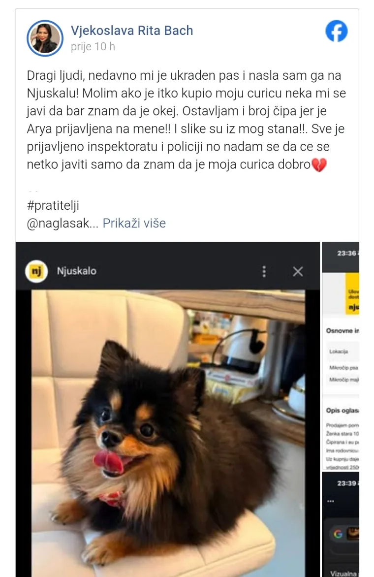 Vjekoslavi Bach ukrali psa pa prodali na oglasniku: 'Samo da znam da je moja curica dobro'