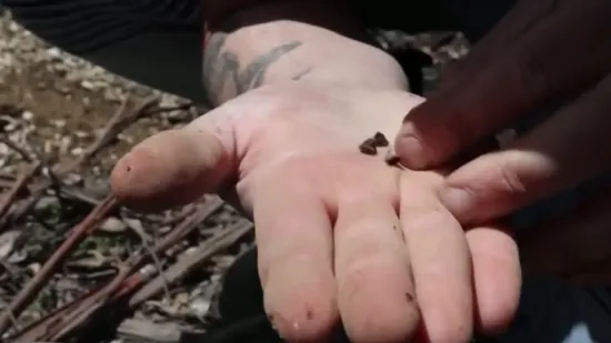 Cijena zlata nikad veća, mnogi krenuli u potragu u 'zlatni trokut': 'Do&scaron;li smo oku&scaron;ati sreću'