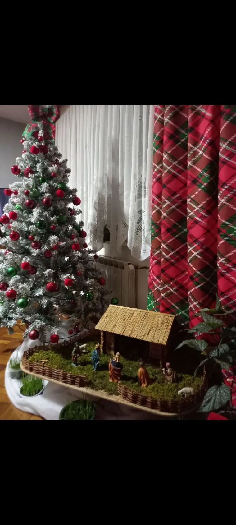 Netko iz žirija prona&scaron;ao je svoje drvce: 'Stavio bi ga u dnevni boravak na Sjevernom polu'