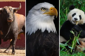 Koje su životinje nacionalni simboli ovih država? Pazi! Pitanja su zahtjevna