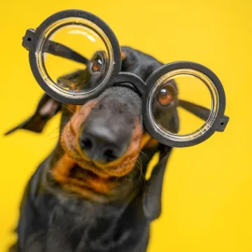 Samo će hodajuće enciklopedije znati odgovore na ova &scaron;a&scaron;ava pitanja, svaka čast ako i&scaron;ta pogodite