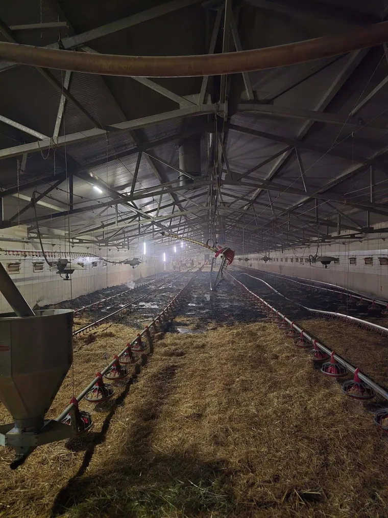 Alarm zazvonio u 00.16! Vatrogasci napustili fe&scaron;tu i spasili stvar: 'Opasnost je bila velika'