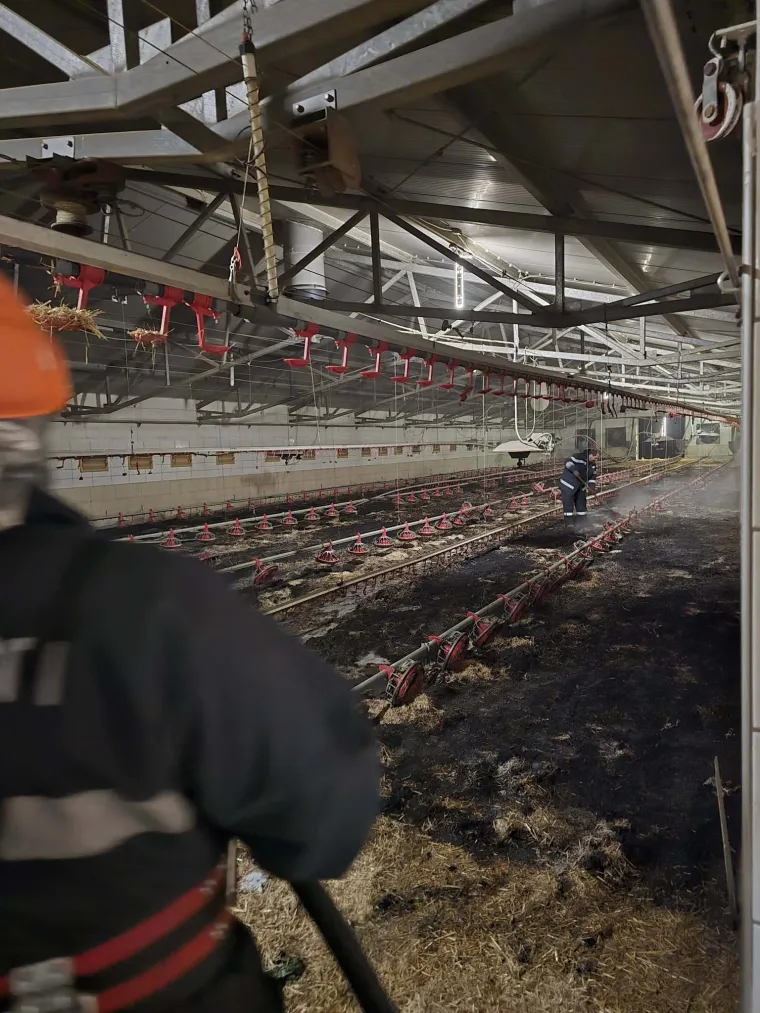 Alarm zazvonio u 00.16! Vatrogasci napustili fe&scaron;tu i spasili stvar: 'Opasnost je bila velika'