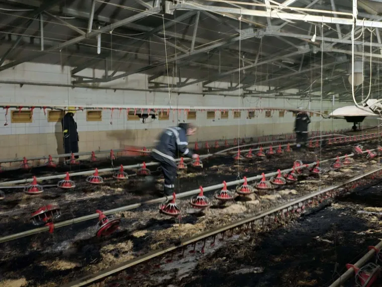 Alarm zazvonio u 00.16! Vatrogasci napustili fe&scaron;tu i spasili stvar: 'Opasnost je bila velika'